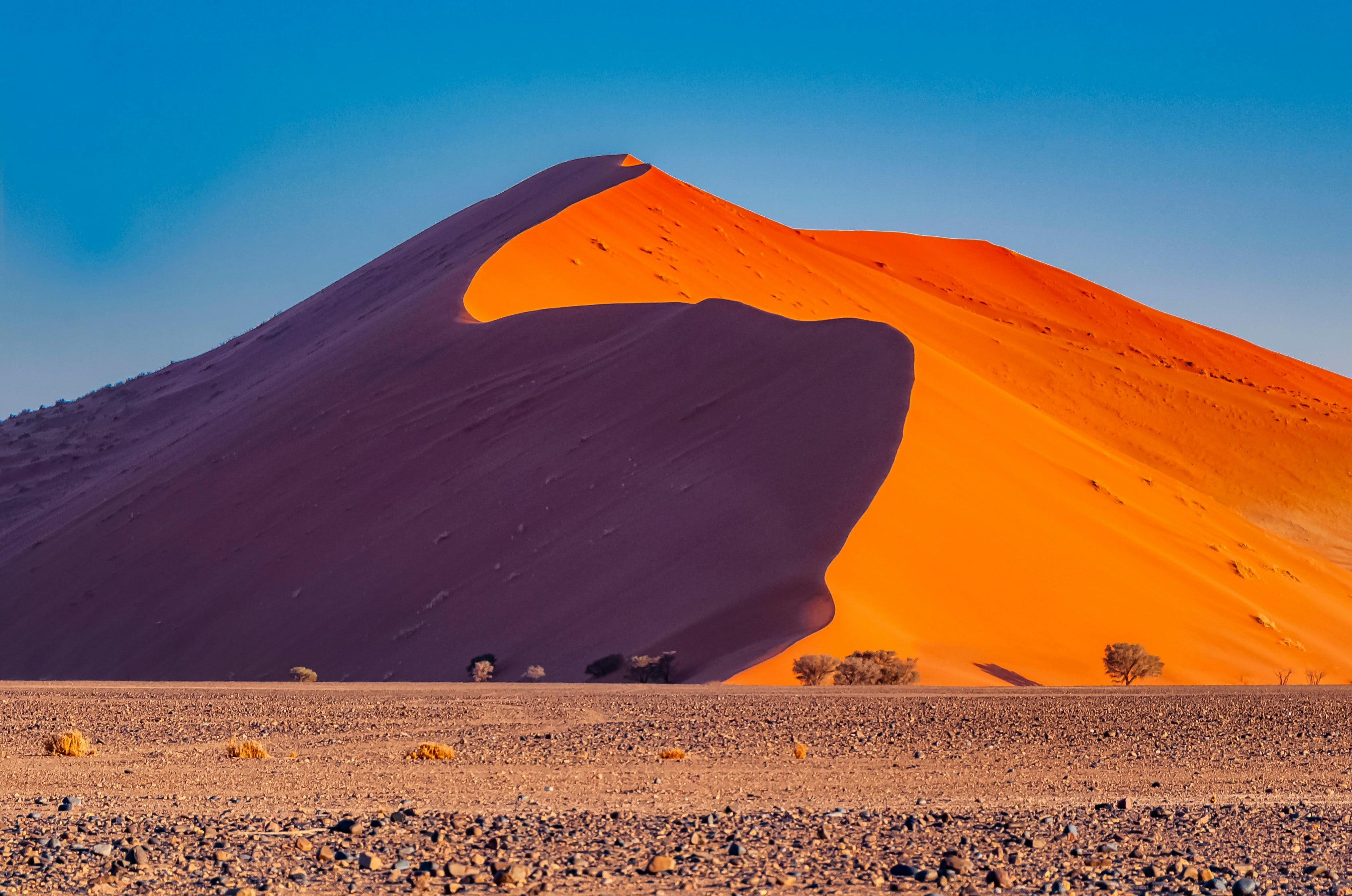 Bild von kamchatka auf Freepik